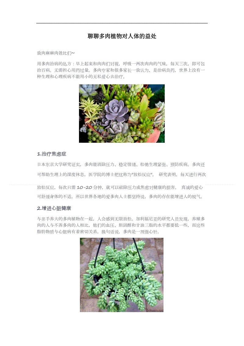 【电竞赛事】世嘉向玩家发起紧急问卷 旗下经典作品或将重启?(图2) 电竞赛事