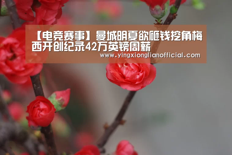 【电竞赛事】曼城明夏欲砸钱挖角梅西开创纪录42万英镑周薪(图2) 电竞赛事