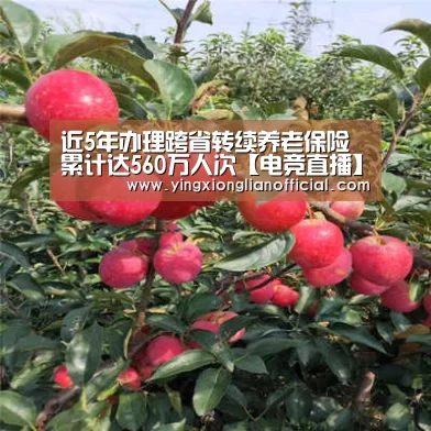近5年办理跨省转续养老保险累计达560万人次【电竞直播】(图2) 电竞直播